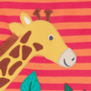 Cantaloupe Stripe/Giraffe