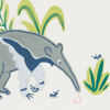 Navy Blue/Anteater