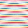 Rainbow Rib Stripe