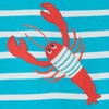 Tropical Sea Stripe/Lobster