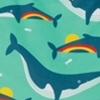 Rainbow/Whale