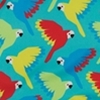 Aqua Parrots